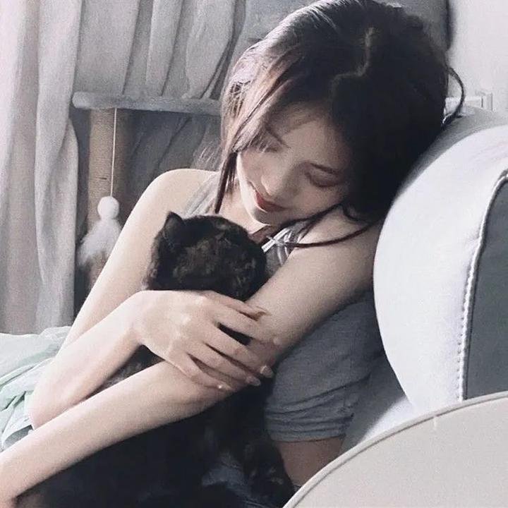 灰天鹅绒上的四只苍蝇